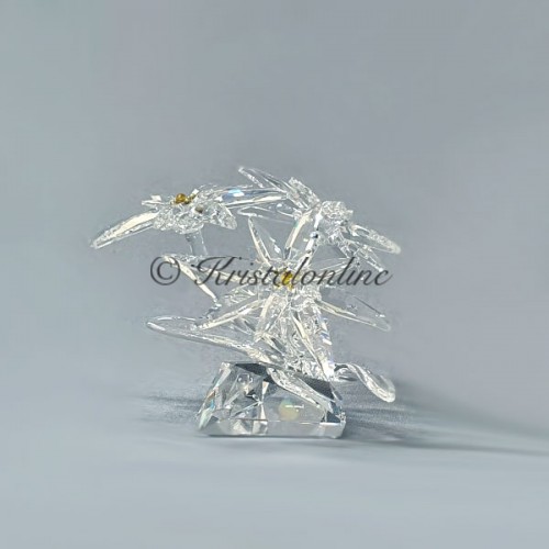 Swarovski Kristal | Silver Crystal | SCS | SCS - Edelweiss | 5493708